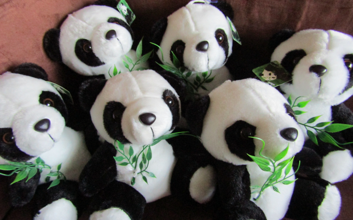 これだけは買って帰りたい！中国・成都のお土産お勧め5選 | 中国