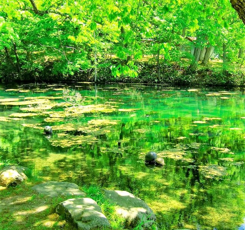 富良野絶景の穴場！「鳥沼公園」のエメラルドグリーンに驚愕 | 北海道