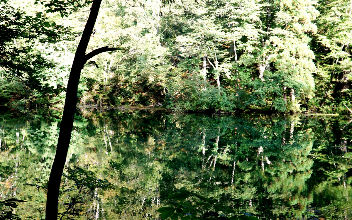 携帯もカーナビも不通!?平家落人伝説の秘境・新潟「秋山郷」 | 新潟県