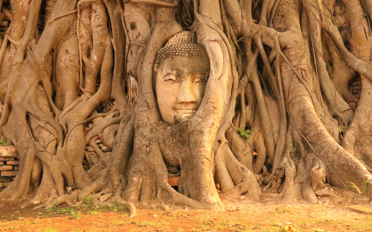 木の根に覆われた仏頭！アユタヤ遺跡「ワット・マハタート」 | タイ