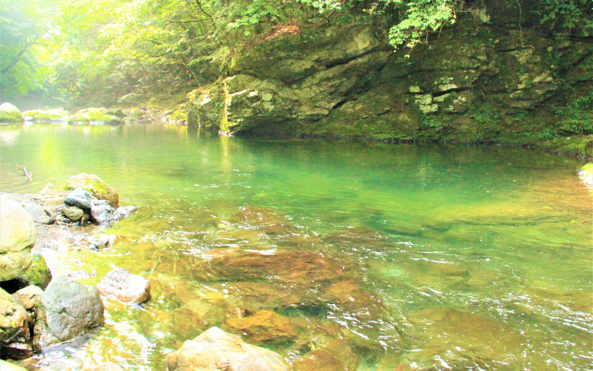 天 川村 川遊び