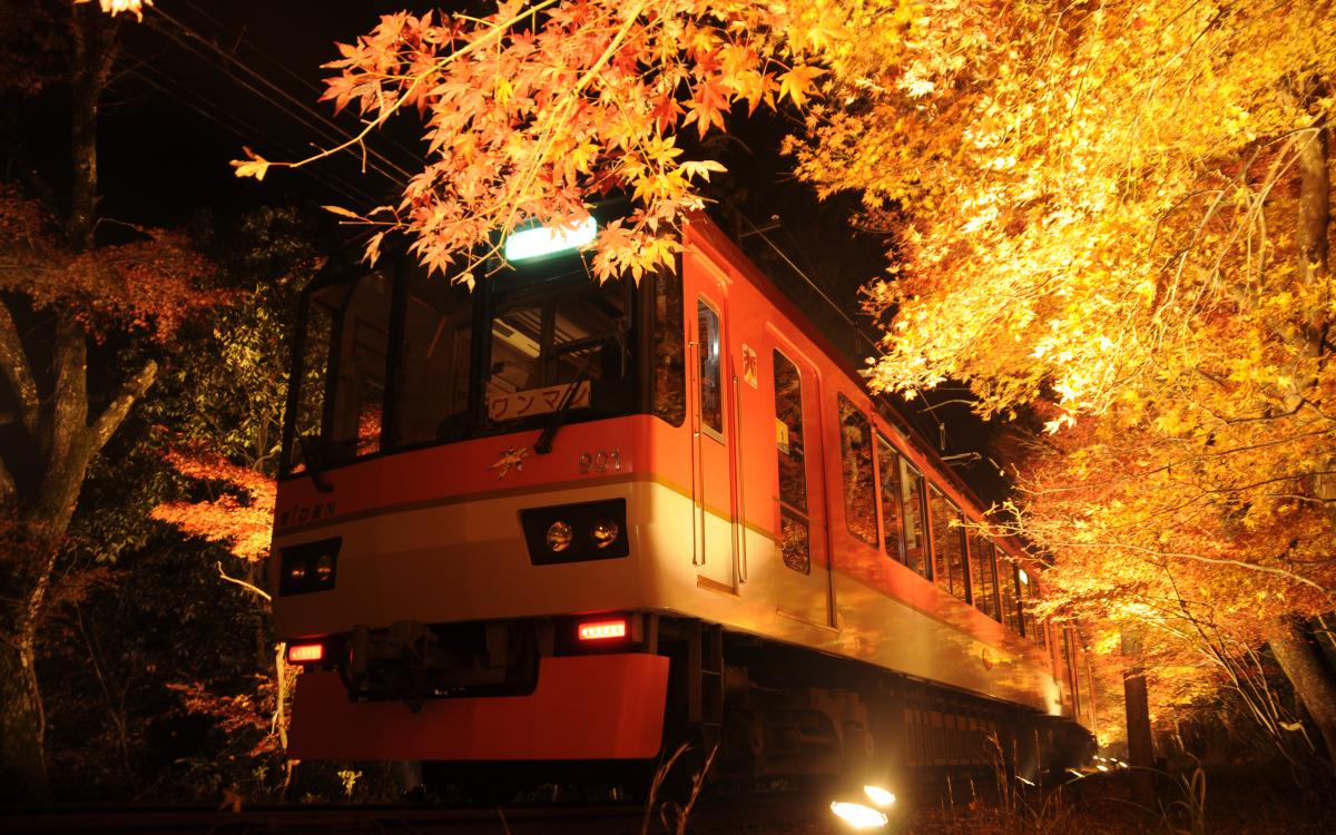 これは絶景！叡山電車「もみじのトンネル」で京都紅葉列車の旅 | 京都
