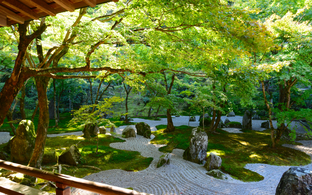 美しさに思わずため息！太宰府の苔寺「光明禅寺」で楽しむ“床みどり”と