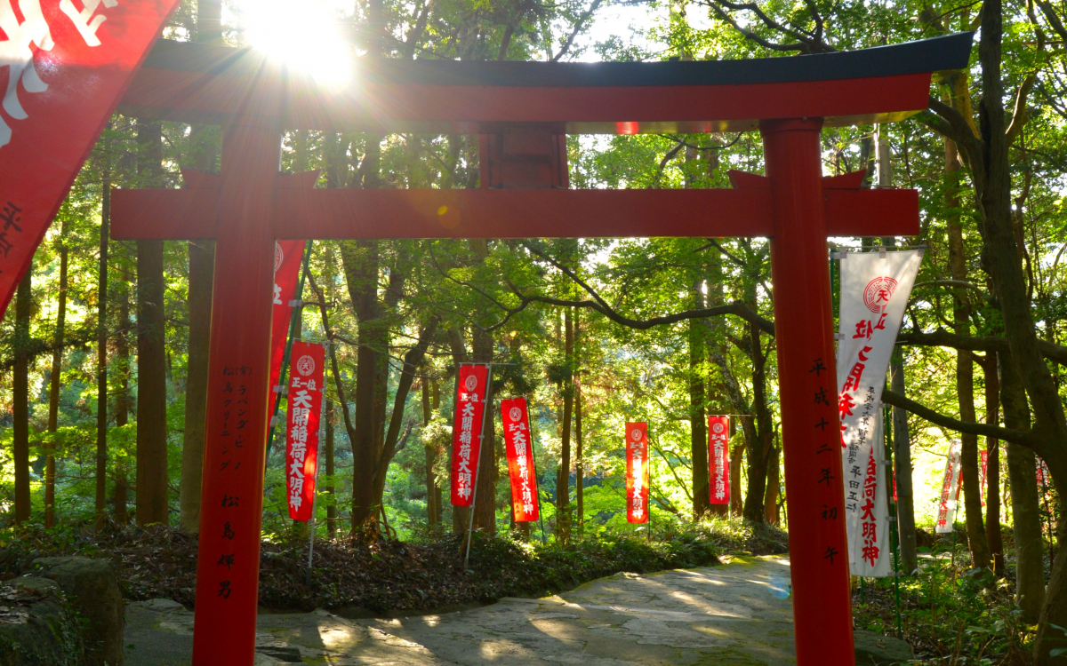 霊峰富士（れいほうふじ）のパワーを宿す 稲荷の使い・純白の白狐像