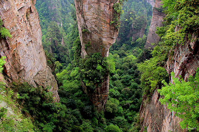 【DVD】 中国の世界遺産　1～10　(写真で綴る中国の世界遺産・鑑賞ガイド) 写真で綴る 中国の世界遺産 - ノースブックセンター販売 《カタログ数1