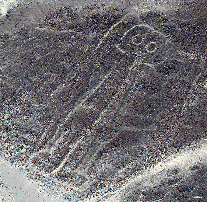 謎の巨大アート！ペルーの世界遺産「ナスカの地上絵」をセスナと展望台