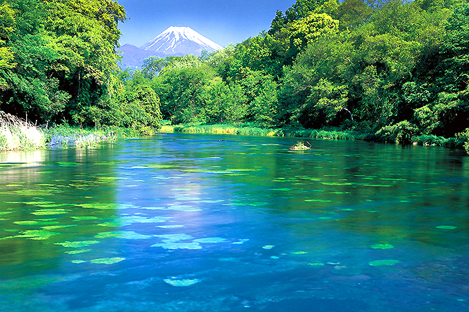 そのまま飲める！静岡「柿田川湧水群」で心身共にリフレッシュ | 静岡