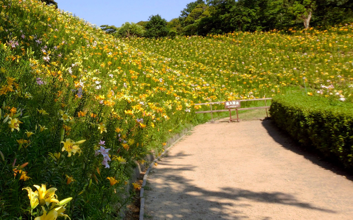 ゆり の 園