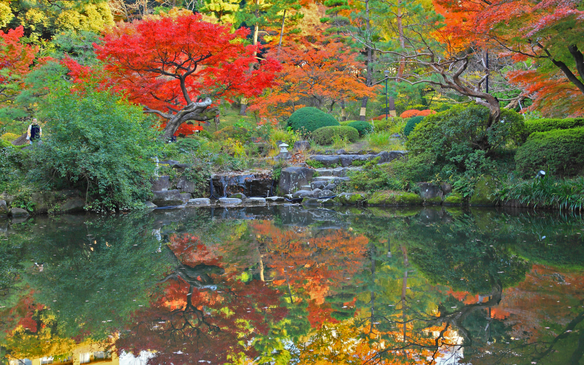 東京・早稲田の穴場紅葉スポット！静かで落ち着く「甘泉園公園