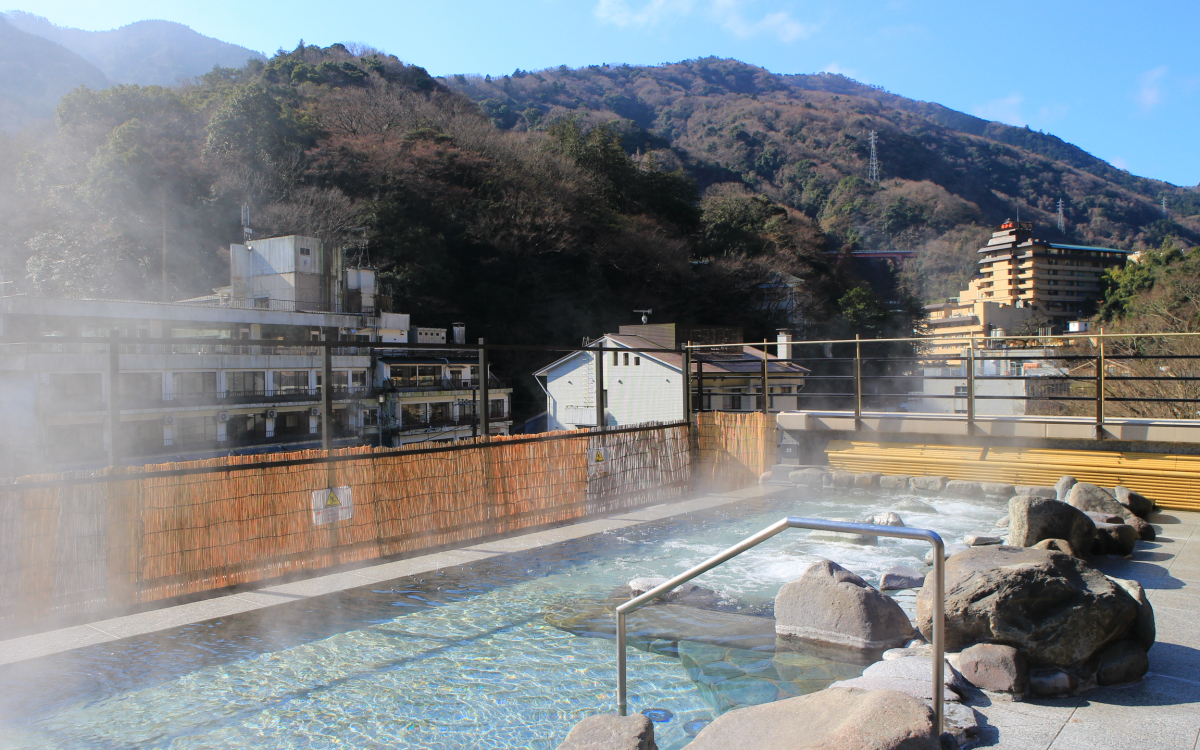 箱根 湯本 温泉 天成 園