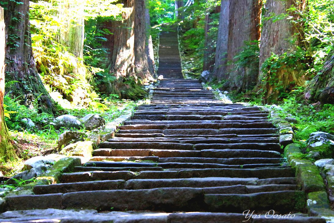 2446の石段半端ない！国宝羽黒山五重塔から出羽三山神社へ | 山形県
