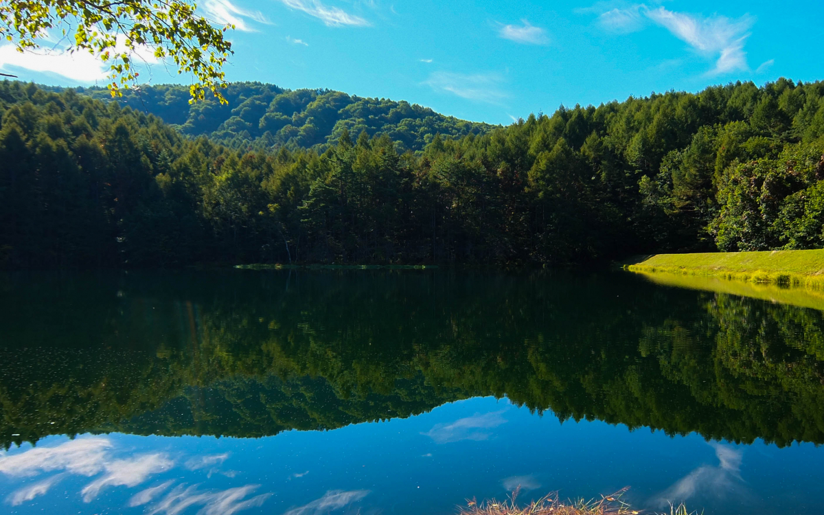 東山魁夷の名画の舞台！奥蓼科「御射鹿池」の美しさと神秘 | 長野県