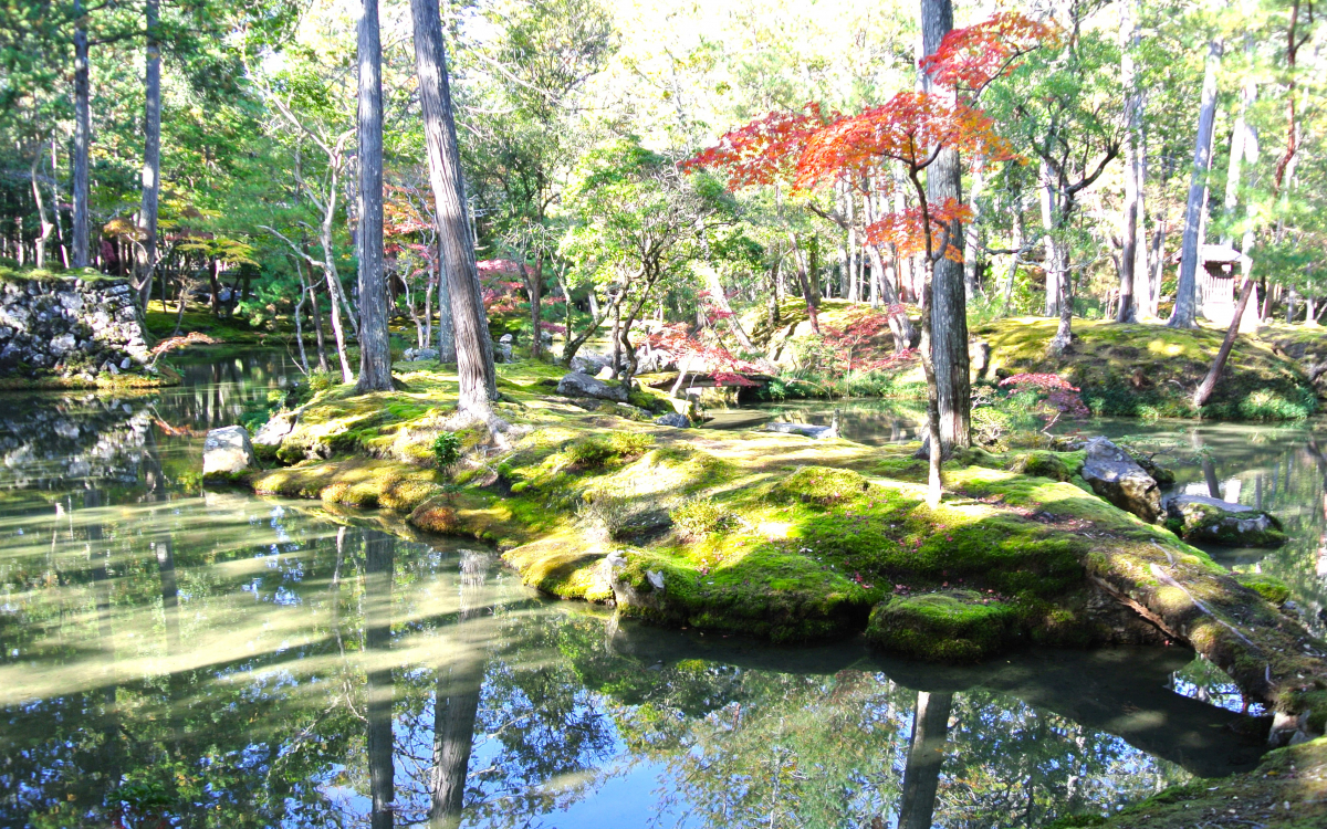 西 芳 寺