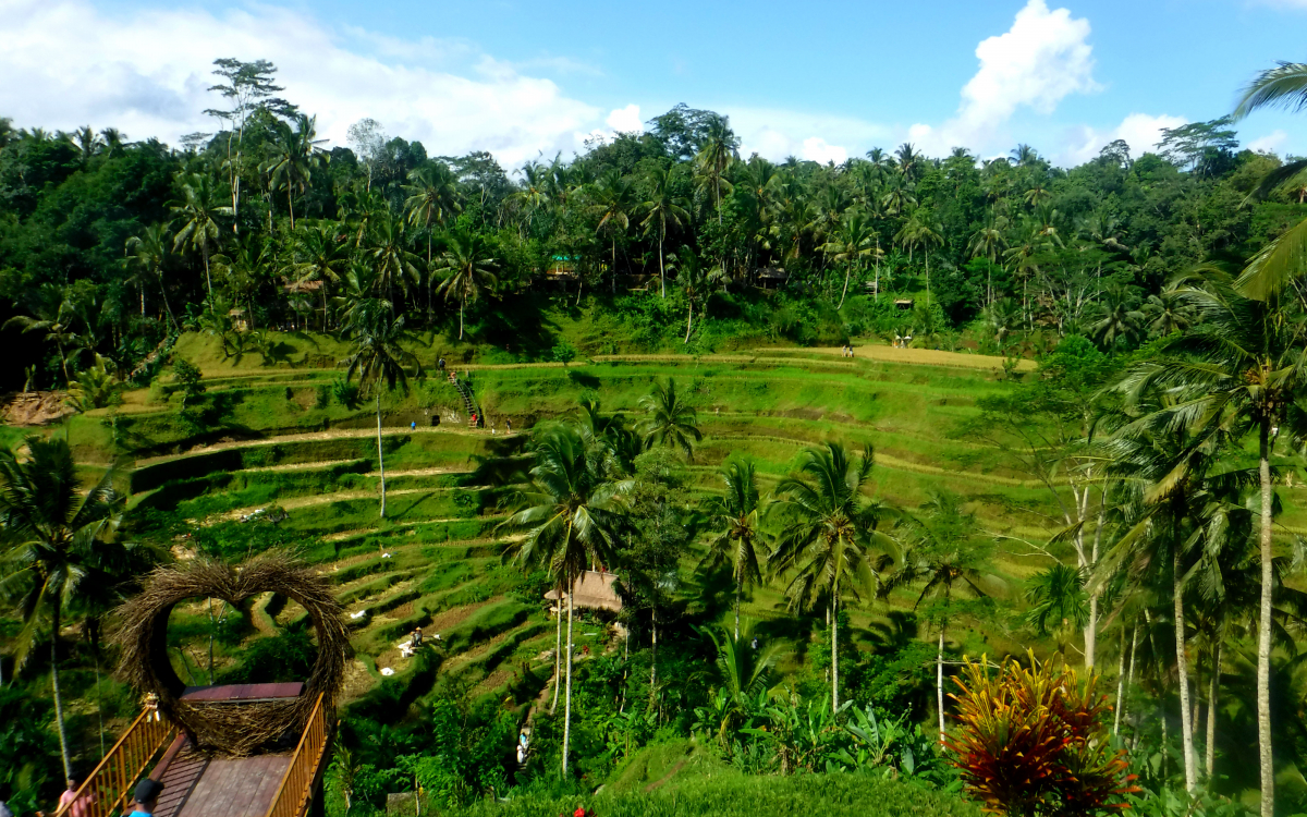 初心者必見！バリ島ウブドで絶対外せない観光スポット5選