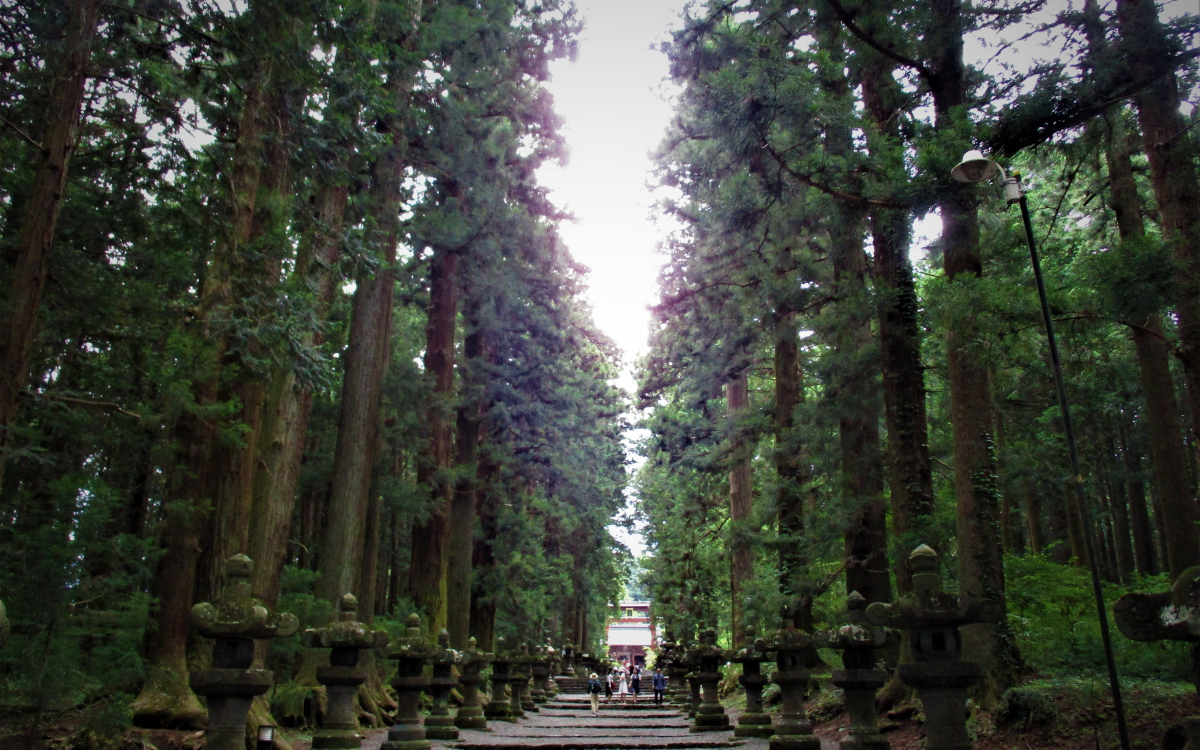 これぞ神域！「北口本宮冨士浅間神社」で深山幽谷の雰囲気を味わう