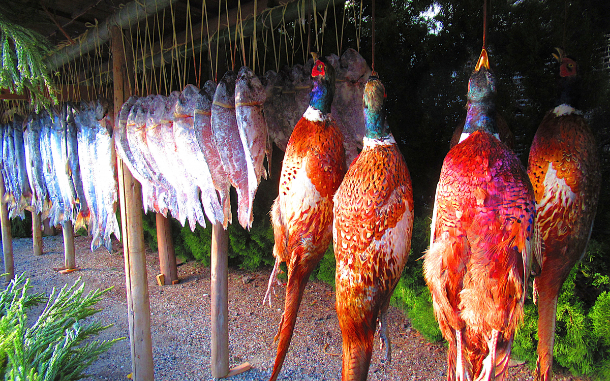 雉や鯛、鮭まで供物に!?奈良・春日若宮おん祭「大宿所祭」 | 奈良県