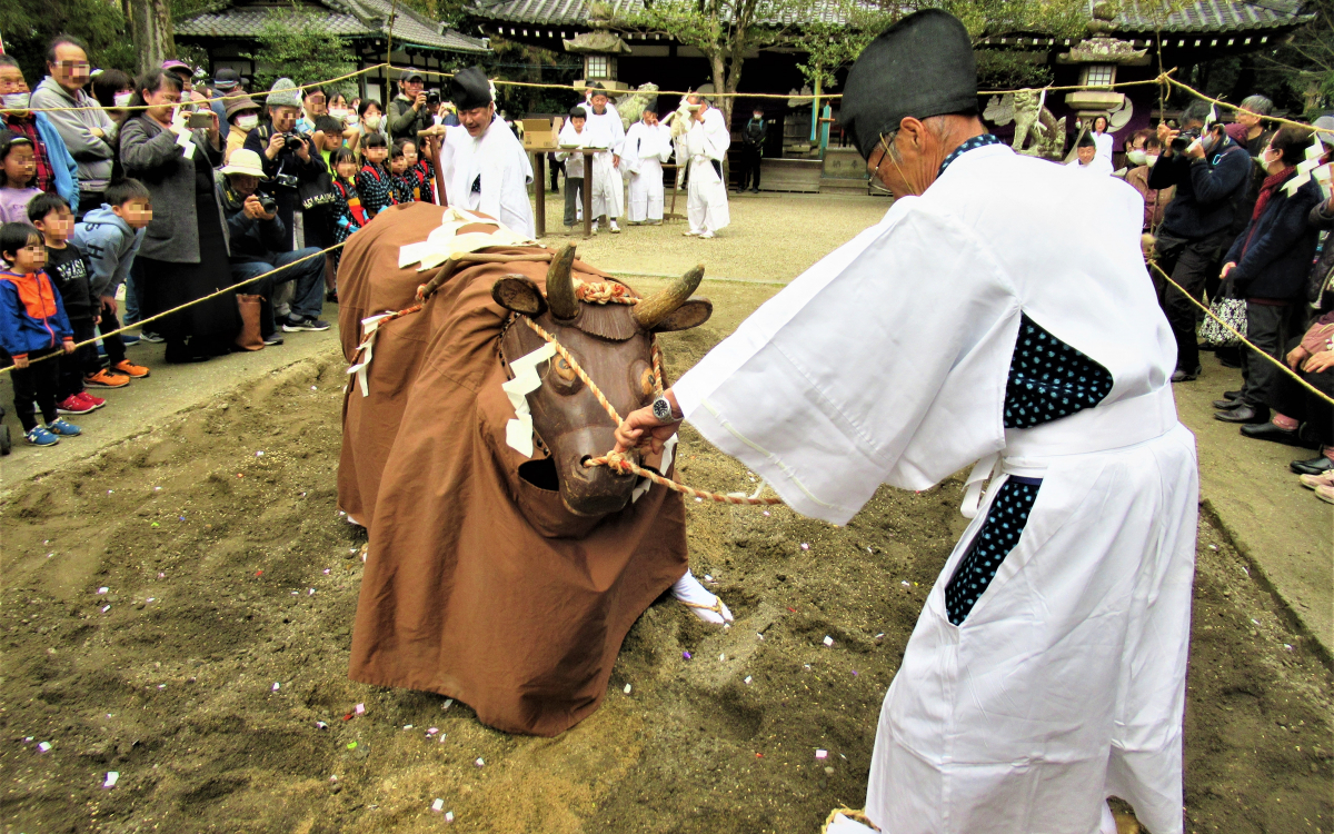牛大暴れ！奈良・鏡作神社「御田祭」で五穀豊穣を祈願しよう | 奈良県