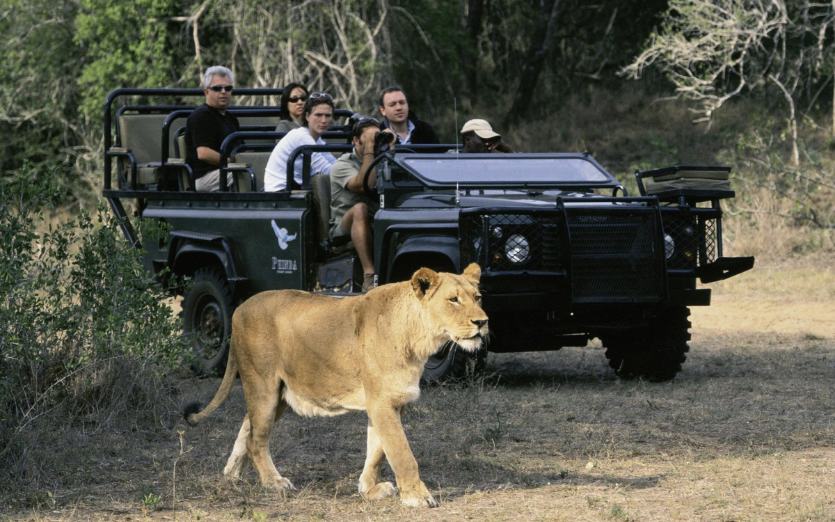 南アフリカ・世界最大級の野生の王国『クルーガー国立公園』でビッグファイブ・サファリを体験しよう！ | 南アフリカ | トラベルjp 旅行ガイド