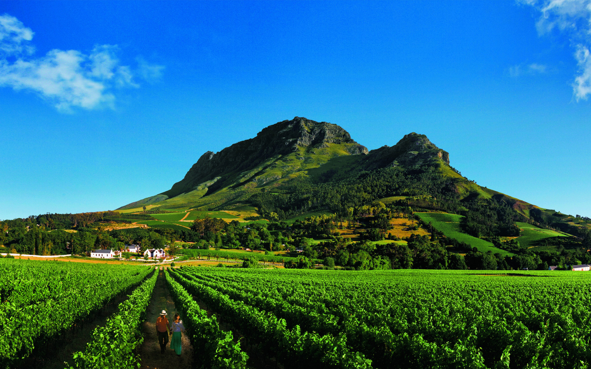 南アフリカの「ワインランド」で美食と絶景を楽しもう！ | 南アフリカ | トラベルjp 旅行ガイド