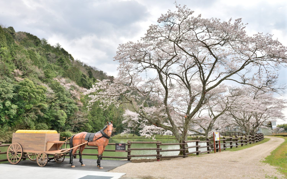 神 河 町