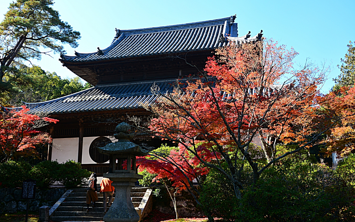 涙でネズミの絵を描いた「雪舟」ゆかりの岡山「井山宝福寺」で紅葉を
