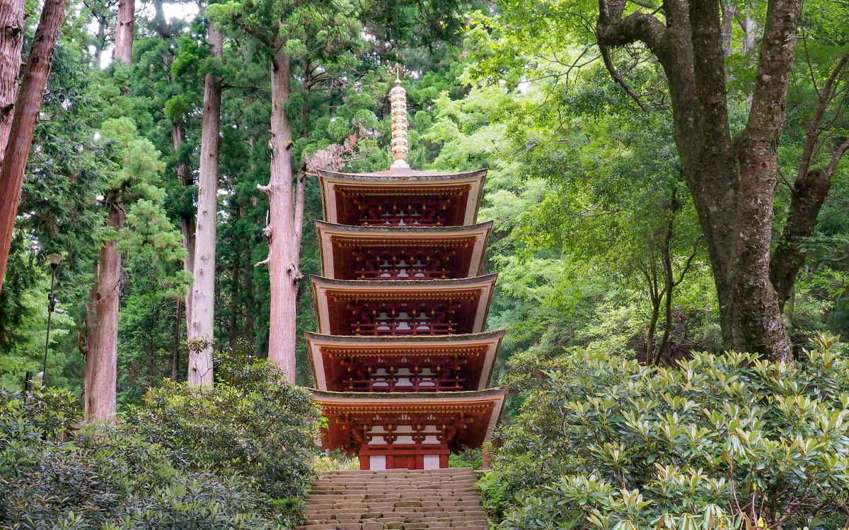 珍しいモリアオガエルと仏像の宝庫！奈良・女人高野「室生寺」 | 奈良