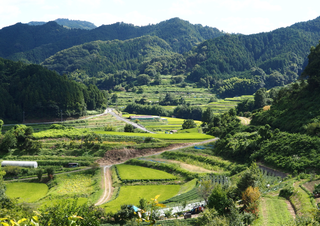 日本の原風景を一望！奈良・明日香村「展望スポット」まとめ | 奈良県