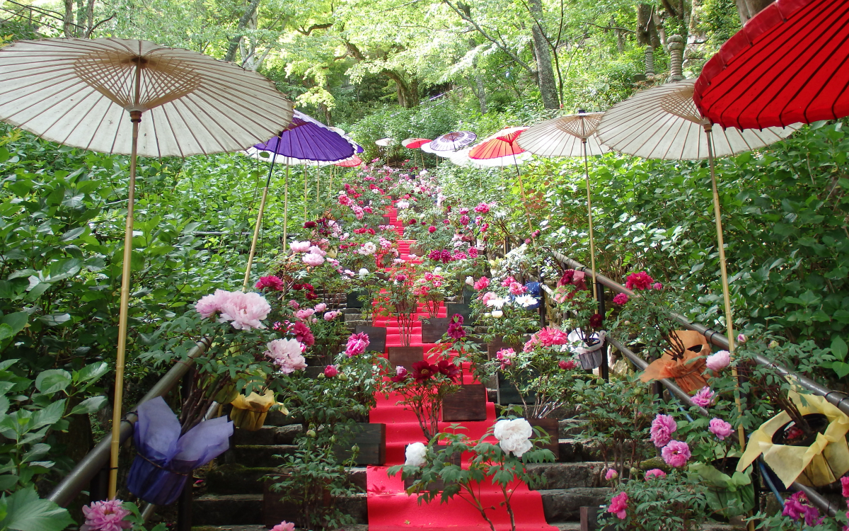 【神奈川県近郊は送料無料】桜と寺院を描いたリトグラフ限定版 439/500 桜と春のぼたんが美しい！奈良・長谷寺「大和観音 はるかぜ回廊