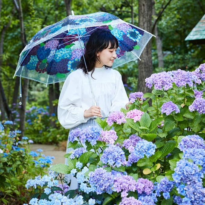 215種・13,000株が見ごろ!三島スカイウォーク「あじさい祭」開催 | 静岡県 | トラベルjp 旅行ガイドの画像