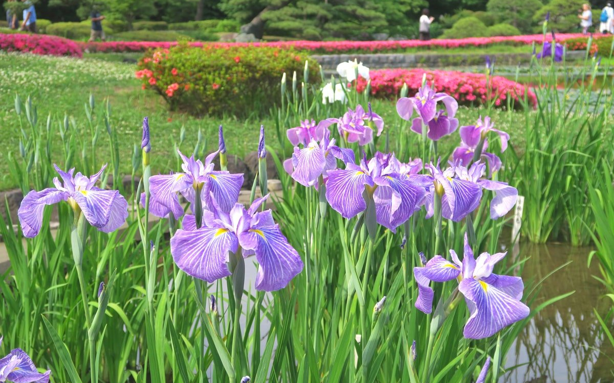 皇居 東 御苑 見どころ