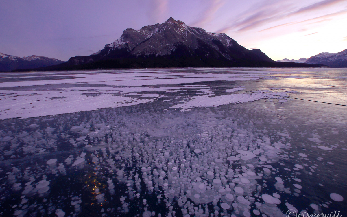 アイスバブルの聖地！カナダ「アブラハムレイク」で神秘の絶景
