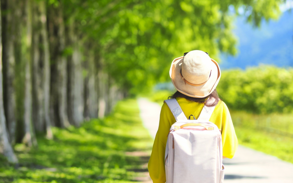 徹底解説】弾丸旅行とは？忙しいあなたに最適な「時短旅」の魅力と 