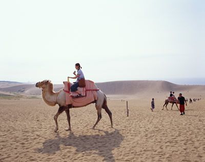 挧֍ssv 