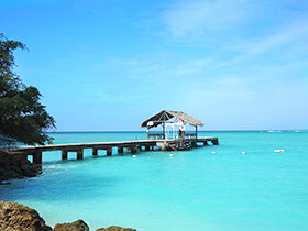 �g���j�_�[�h�E�g�o�S�֍s�����s�v���� 