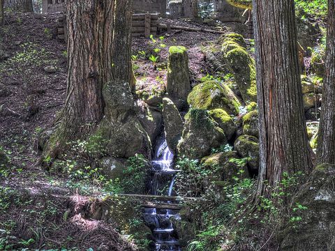 石組」が表現する世界へ！日本庭園をより深く鑑賞する方法 | トラベル