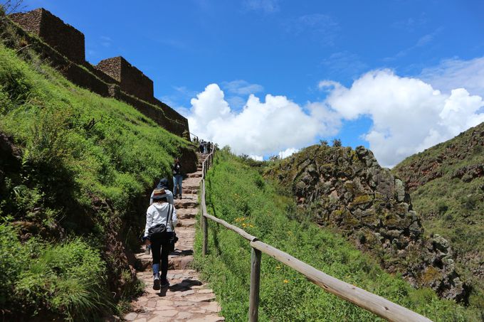 �u���n�W���v�Ɓu�Y������s�v�͂ǂ��������́H