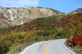 oXł̗s̃bǵHAoXcA[6̊yݕ̋LTlC