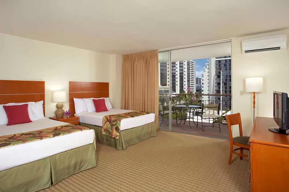 �z�e���O���[�h����1�F�G�R�m�~�[