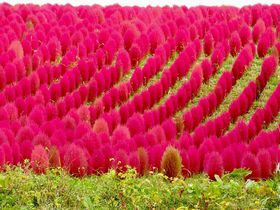 10̗sɂ߁IAoXcA[̑IѕƂ́H̋LTlC