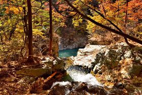 11̗sɂ߁IAoXcA[̑IѕƂ́H̋LTlC