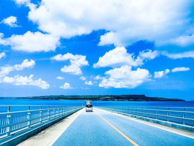 ꗷsɈsRcy6z^J[EIvVicA[͗sOɗ\񂷂