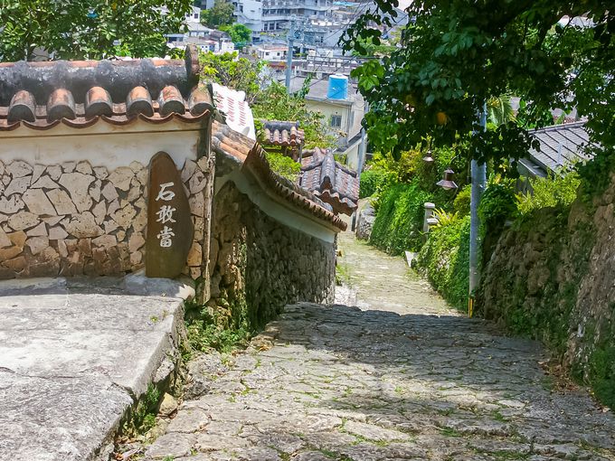 ꗷsɈsRcy4z_Ci~bNpbP[WEpbP[WcA[𗘗p