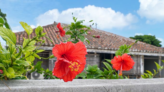 ꗷsɈsRcy5zzȇIѕHvIIɓ