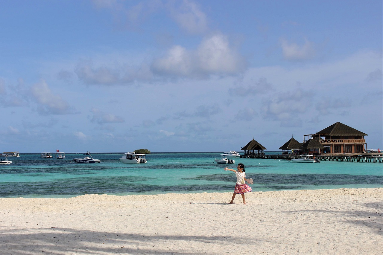 fBus͉߁HŒች؍݂Ɗy߂H