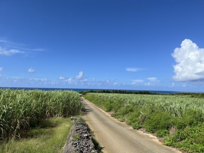 {Ó̏HE~ɂ߂ȊόX|bg