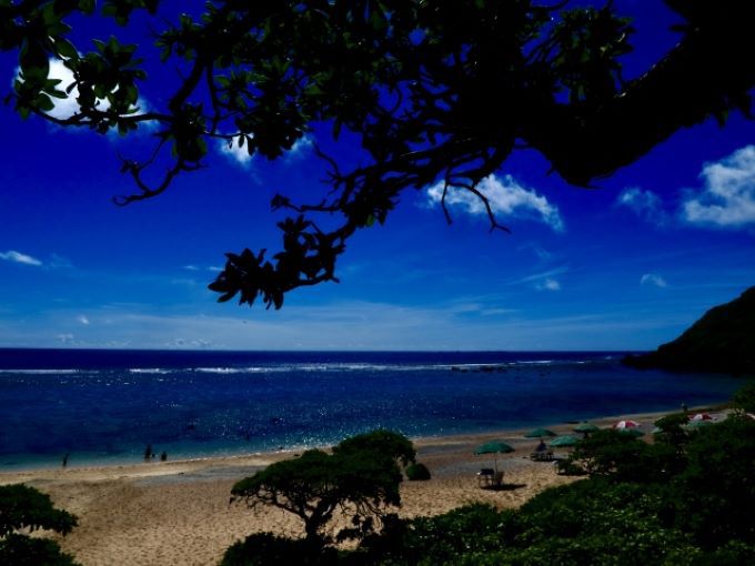 {Ó̏tEĂɂ߂ȊόX|bg