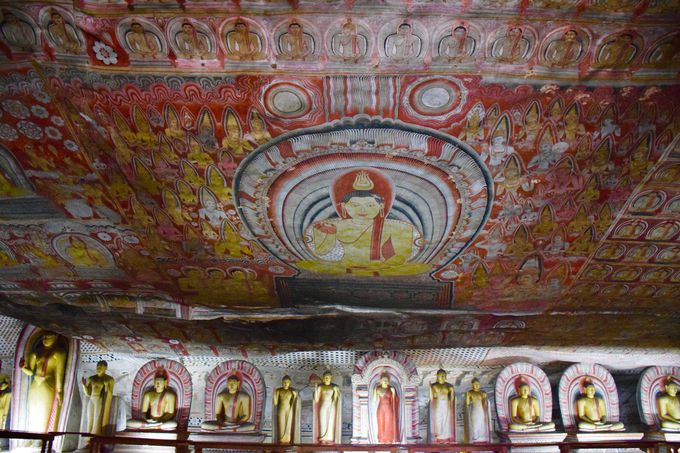 ŒZ5ԁI1TԈȏ゠΃x^[