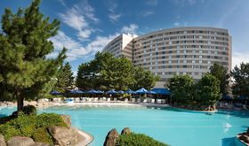 ӊOƒmȂze̎ށIVeBzeArWlXzëႢ́H̋LTlC