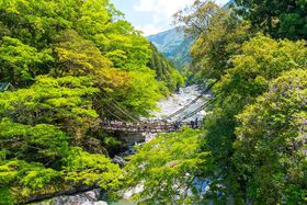 lɍsȂ牽KvHGAʂߗs̋LTlC