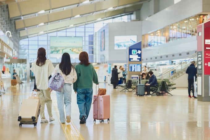 �X�[�c�P�[�X�Ə���